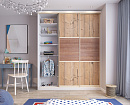 Шкаф-купе «Дуб Аризона»